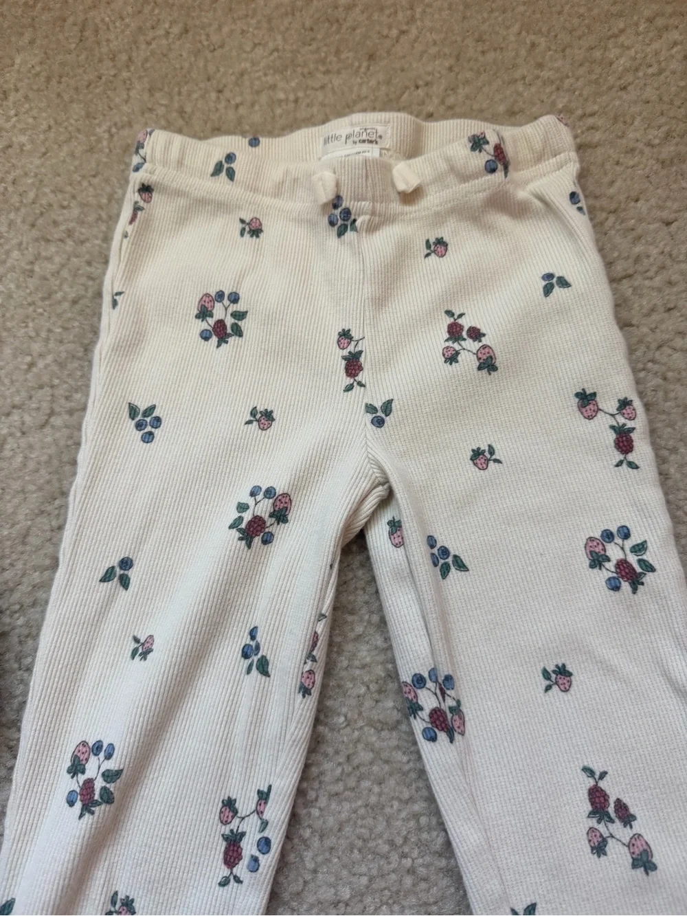 Little Planet organic girls floral and fruity set 4T